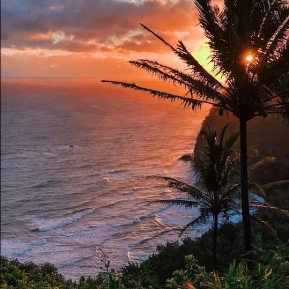 🌹 - Picture 4 of 9